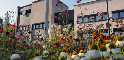 Grankulla stadshus och blommor